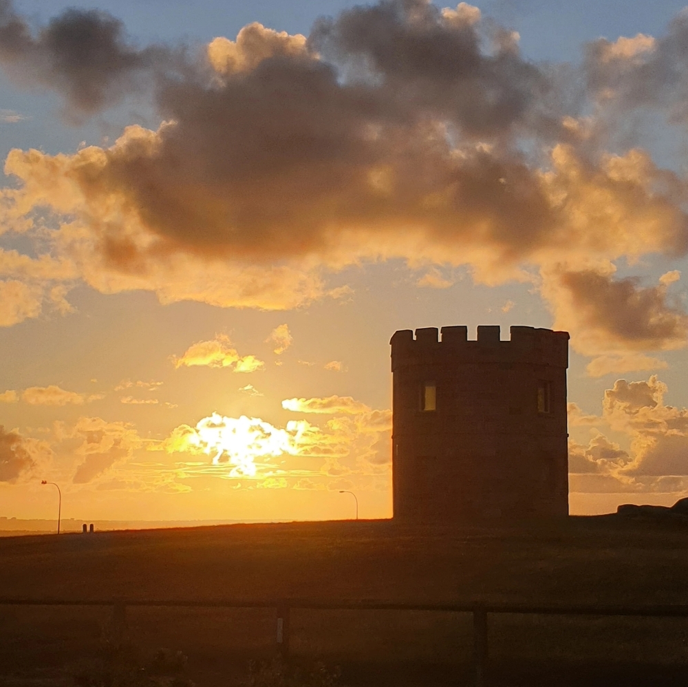 Meet your Posher, Niki